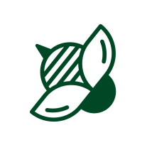 Choose Florida Image